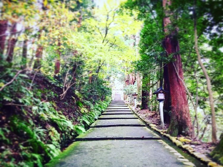 京都で有名な縁切り神社がある 効果などについて徹底解説 18年