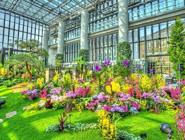 東京の植物園18年版 おすすめの人気植物園をピックアップ