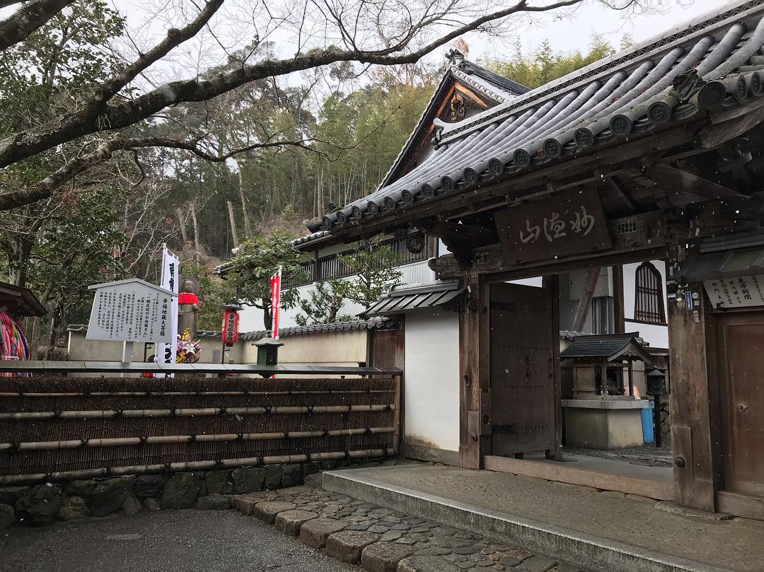 鈴虫 寺 叶っ た