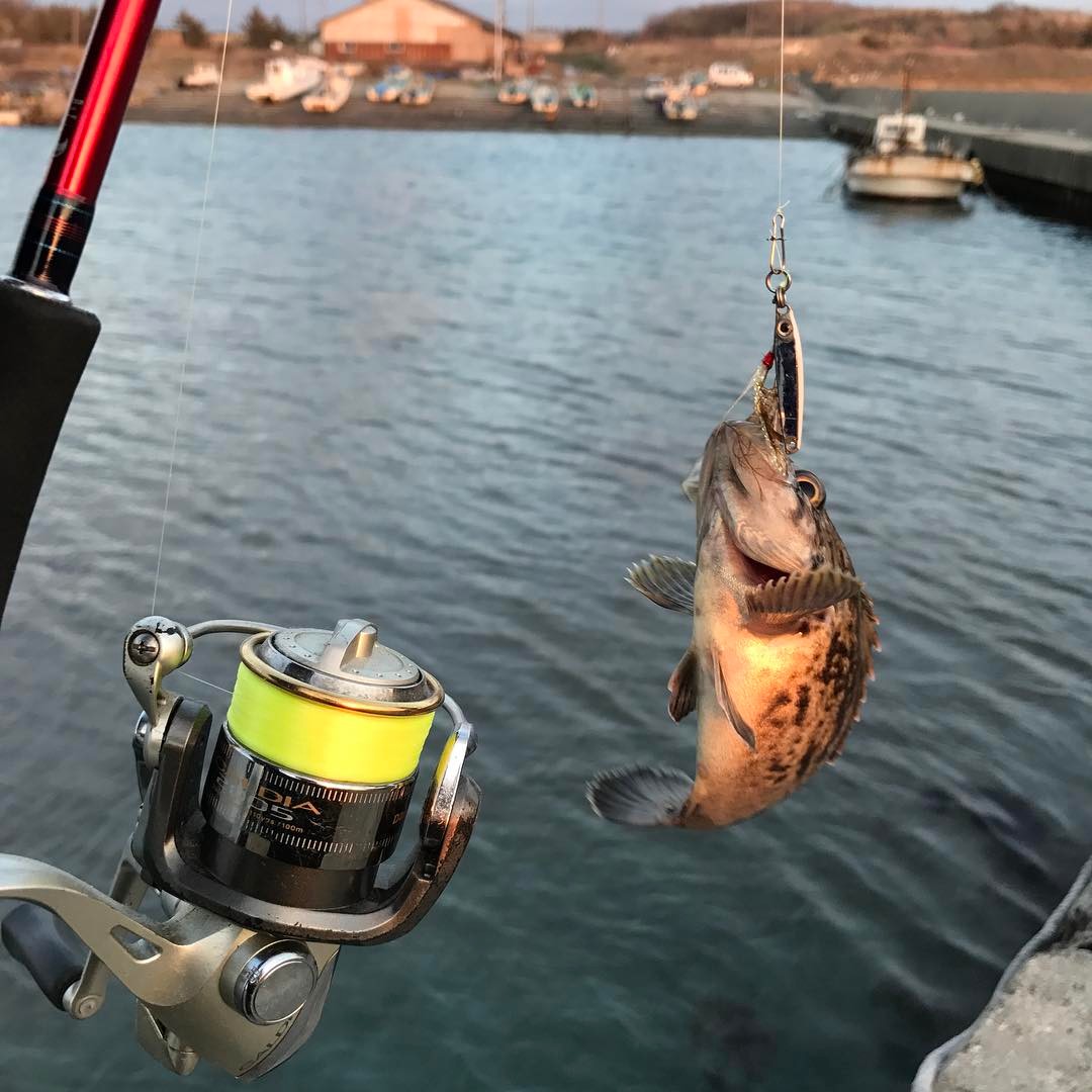 釣っ た 魚 を 食べ れる 釣り堀