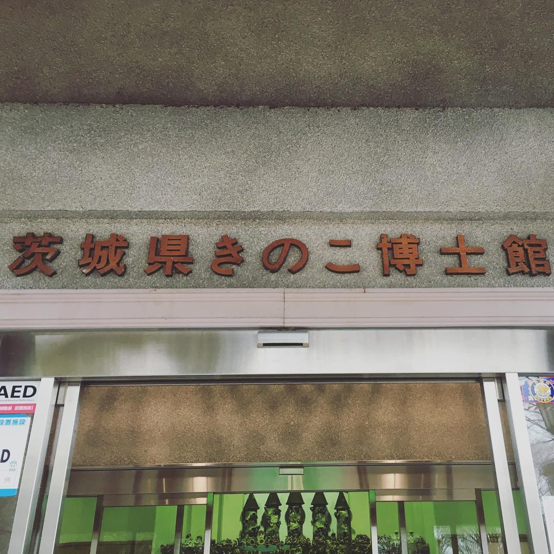 Znxzzjqktl0nrj8vjtb2