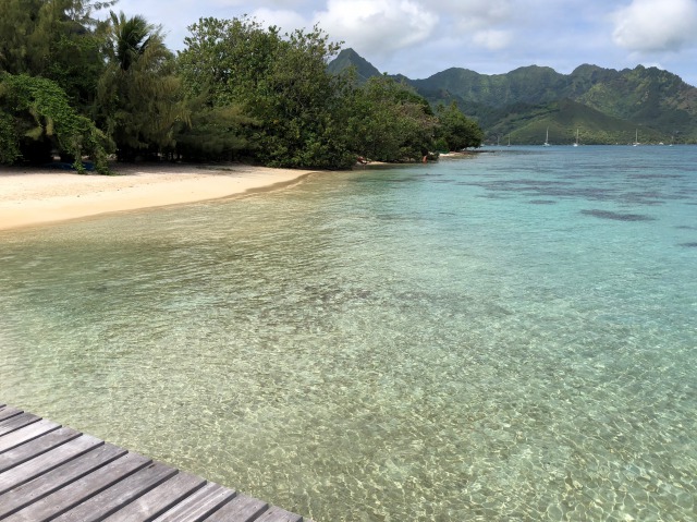 タヒチの風景