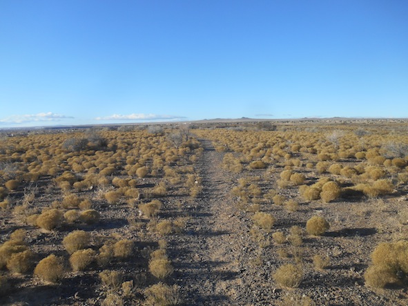 ペトログリフ国立史跡の風景