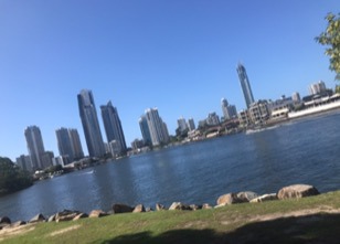 公園で散歩