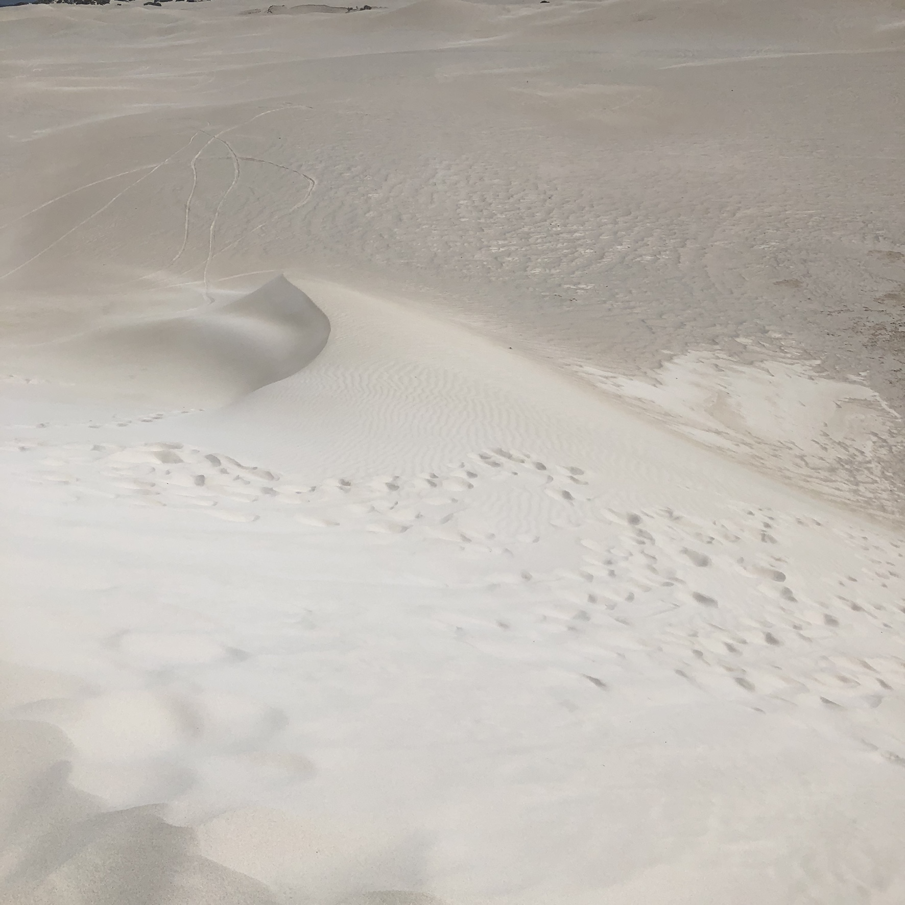 sand dunes