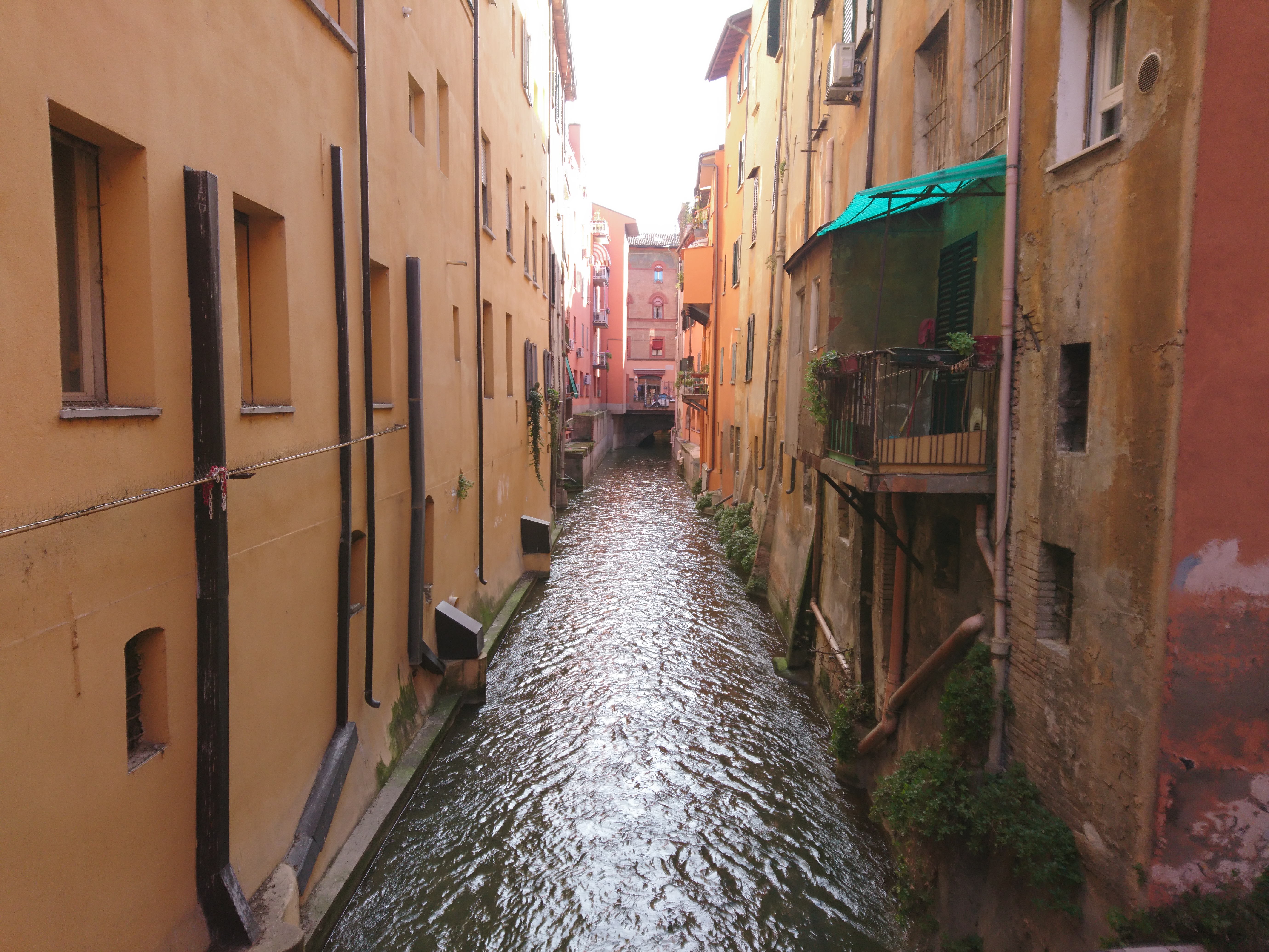 la piccola Veneziaの写真