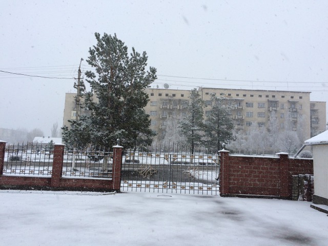 雪の朝