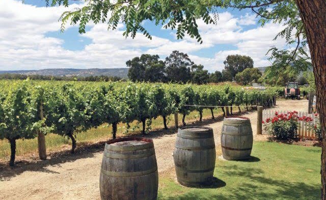 Winery