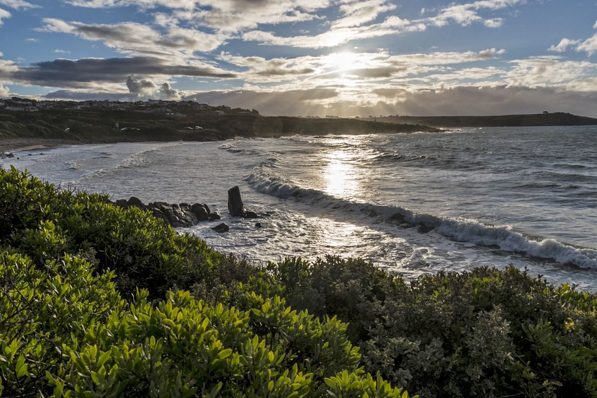 Coles Beach