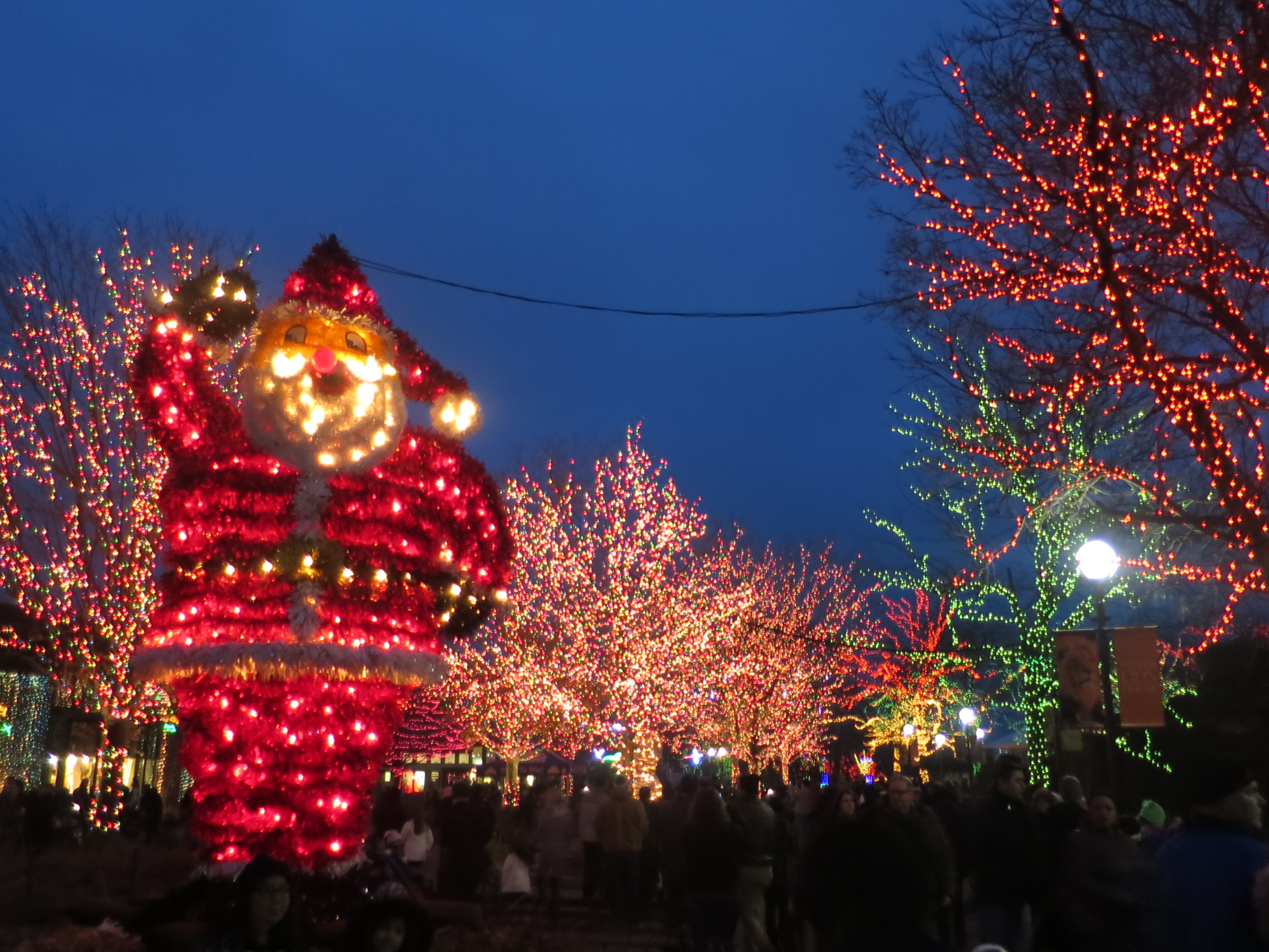 大都会シカゴの長く寒い冬のお楽しみ ウィンターシーズンのイルミネーション7選