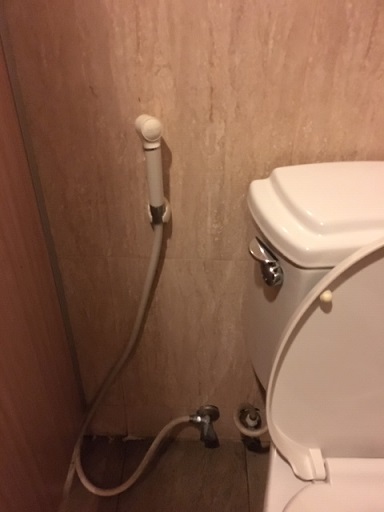 トイレ脇にあるホース