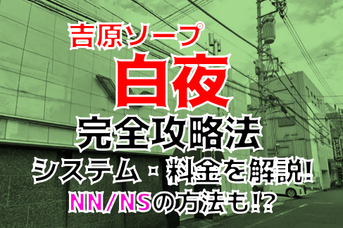 NN/NS体験談！東京・吉原のソープ“白夜”で人妻の度肝を抜く濃厚プレイ！料金・口コミを公開！【2025年】 | Trip-Partner