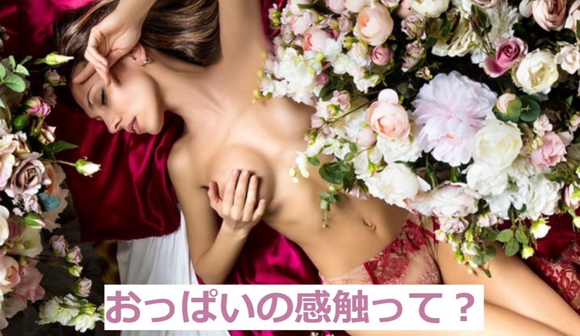 おっぱい の 感触