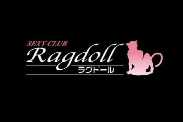 Ragdoll(ラグドール)