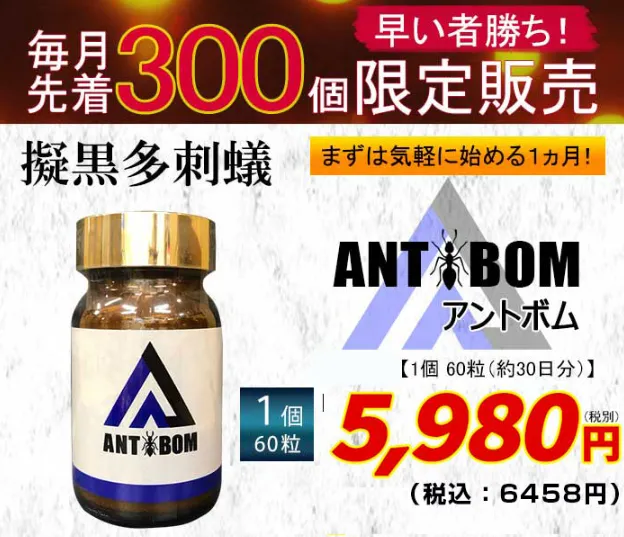 ANTBOM(アントボム)