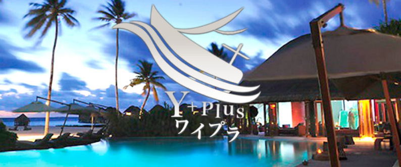 Y-Plus（ワイプラス)