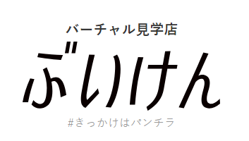 ぶいけん