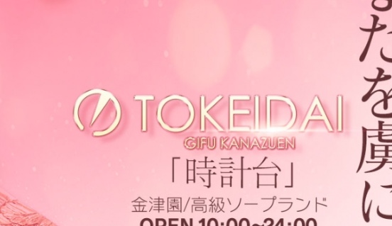 https://www.tokeidai-kanazuen.com/