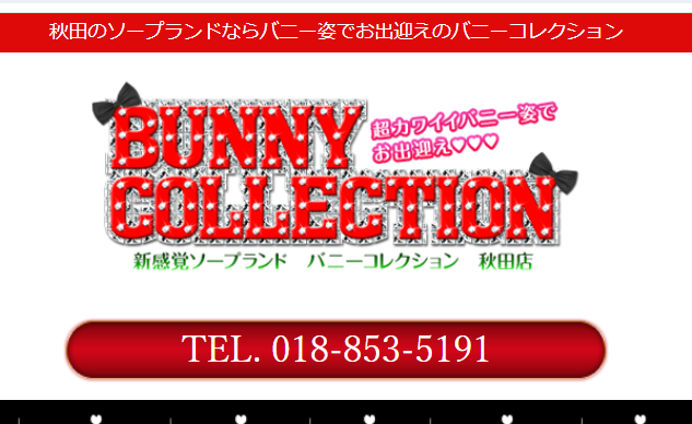 BUNNY COLLECTION(バニーコレクション)