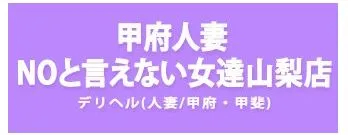 甲府人妻NOと言えない女達山梨店