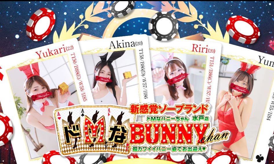 ドMなバニーちゃん 水戸店
