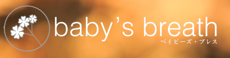 https://babys-br.com/