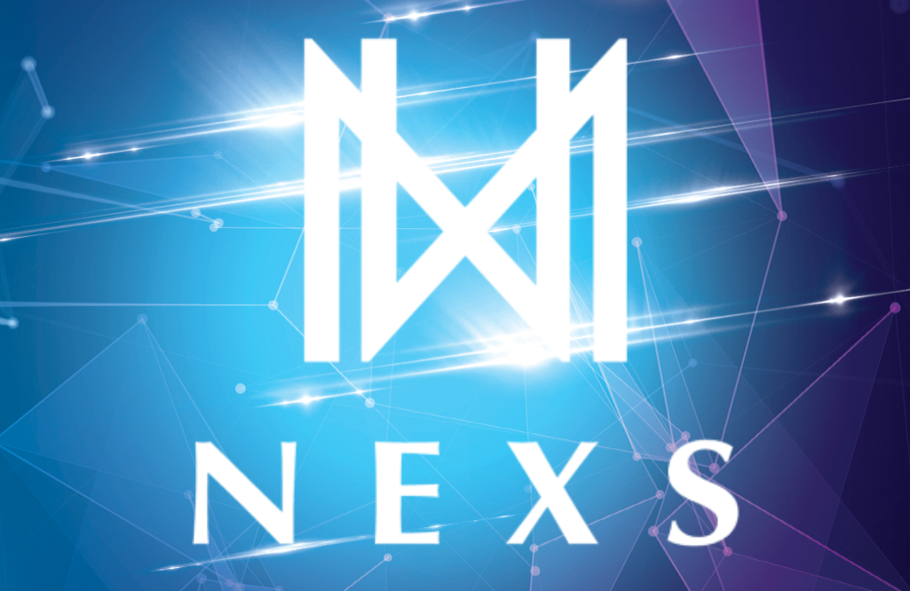 https://nexs-niigata.com/