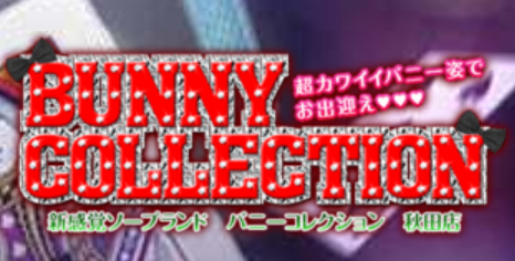 バニーコレクション