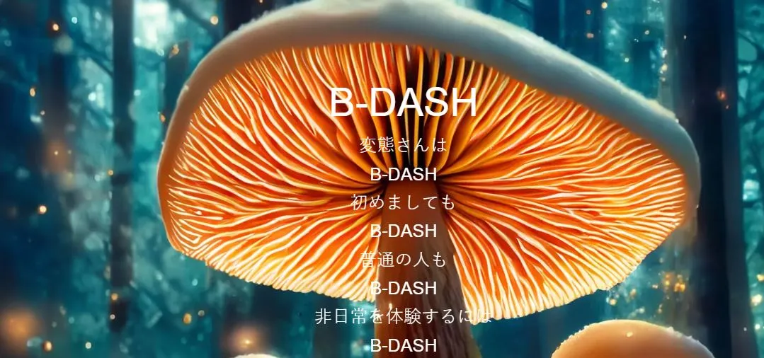 B-DASH(ビーダッシュ)