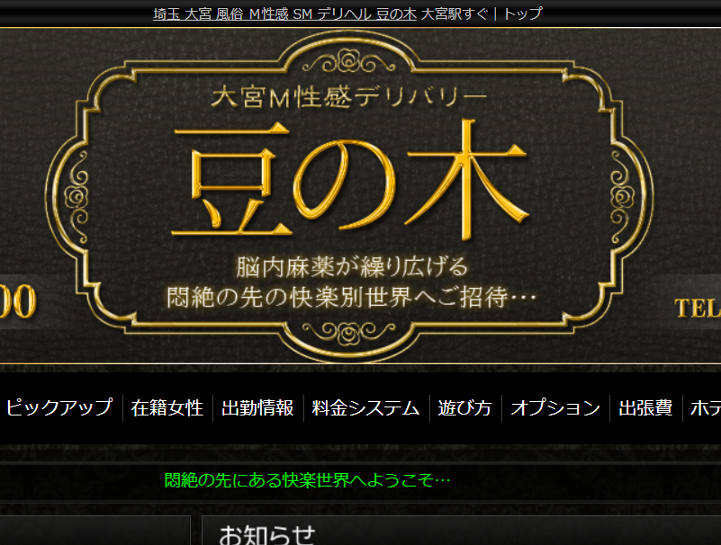 豆の木