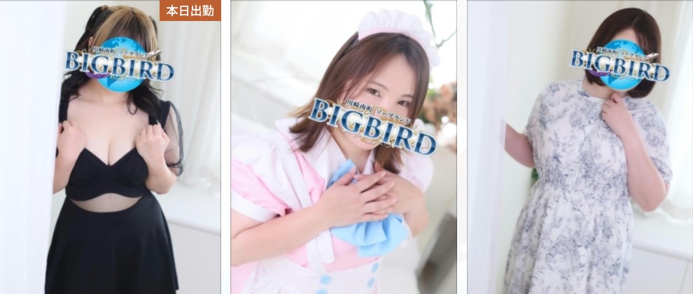 BIGBIRD(ビッグバード)