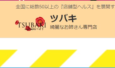 https://www.yesgrp.com/kumamoto/tsubaki/