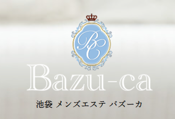 https://www.bazu-ca.com/