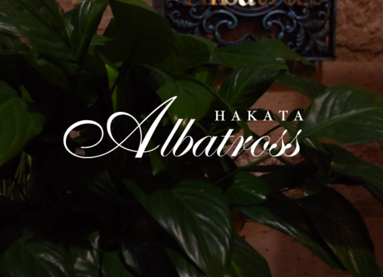 Albatross(アルバトロス)