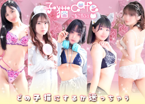子猫カフェ 小倉