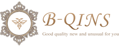 http://bqins.jp/