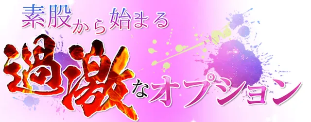 素股から始まる過激なオプション