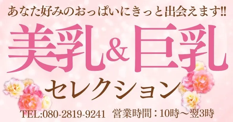 美乳＆巨乳セレクション
