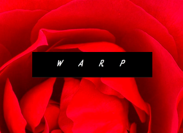 WARP