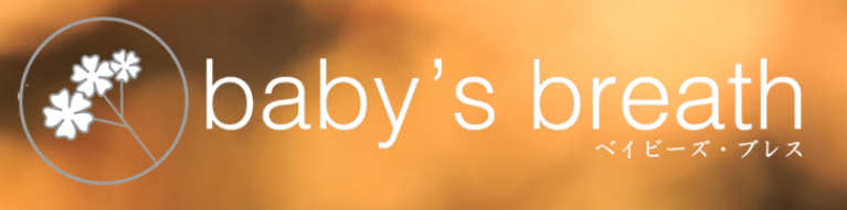 https://babys-br.com/