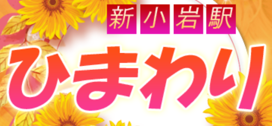 ひまわり