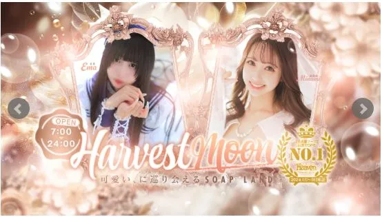 HARVESTMOON(ハーベストムーン)