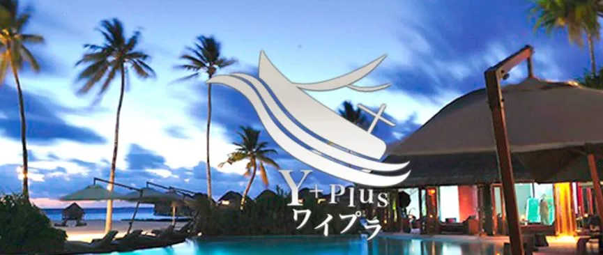 Y-Plus(ワイプラス)