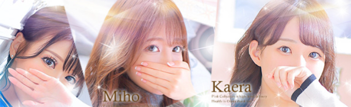 https://s.dto.jp/shop/31045