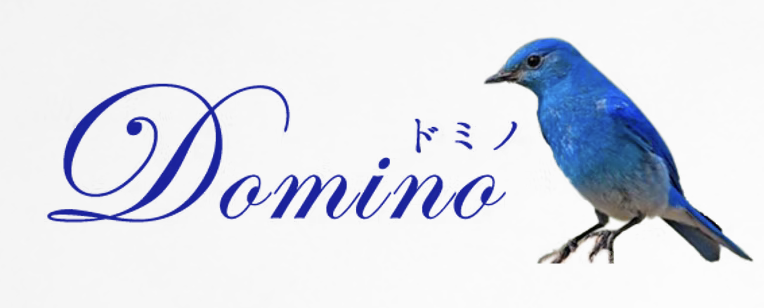 https://www.domino5.com