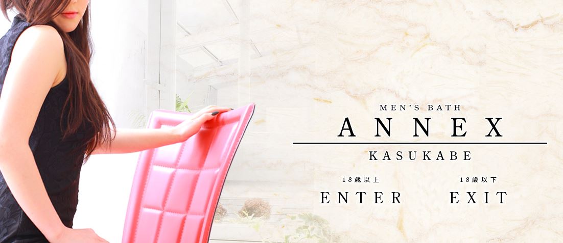 ANNEX