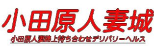 小田原人妻城