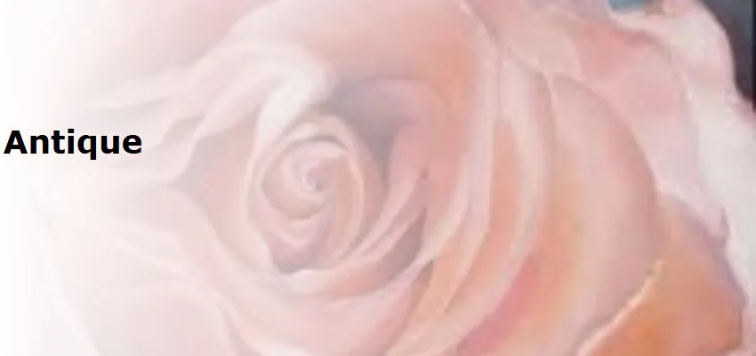 Antique(アンティーク)