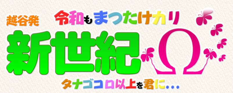 https://shin-seiki.net/