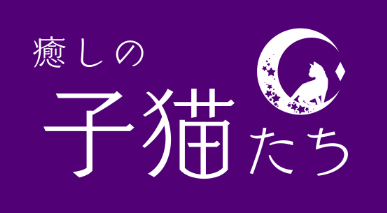癒やしの子猫たち